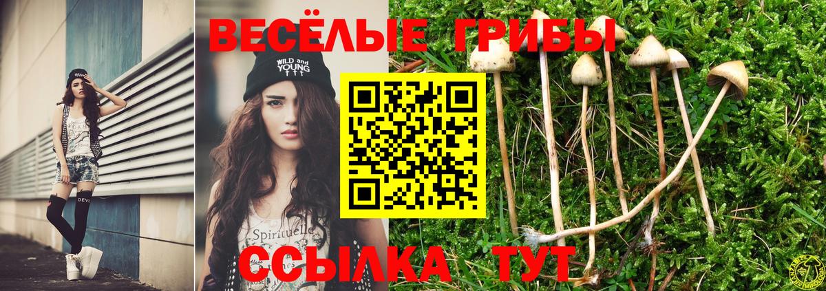 Галлюциногенные грибы мицелий  Вход с VPN  Ялта 