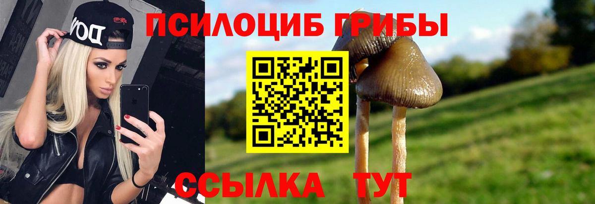 Галлюциногенные грибы Psilocybe Ялта